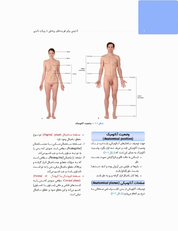 آناتومی برای فوریت‌های پزشکی با رویکرد بالینی