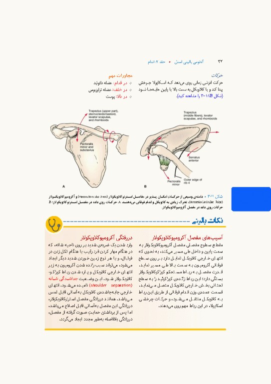 آناتومی بالینی اسنل 2025 جلد دوم اندام
