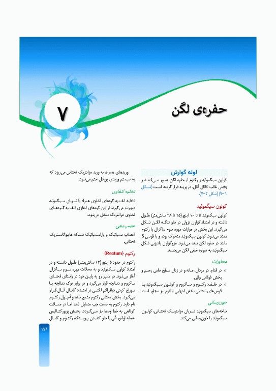 خلاصه‌ آناتومی اسنل 2025 تنه، اندام، سر و گردن