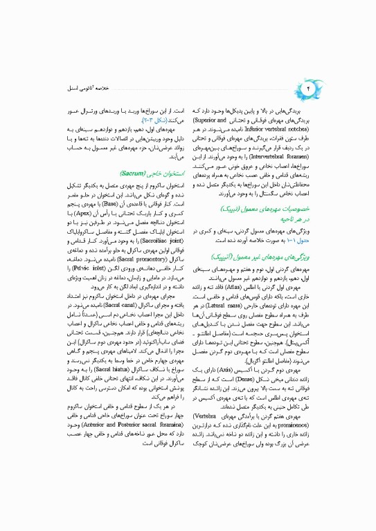 خلاصه‌ آناتومی اسنل 2025 تنه، اندام، سر و گردن