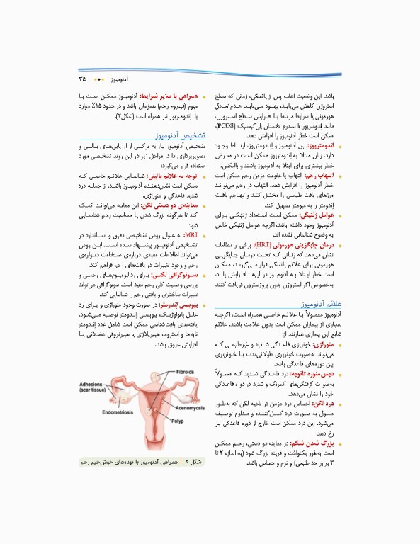 درسنامه پروتکل بالینی مامایی و زنان