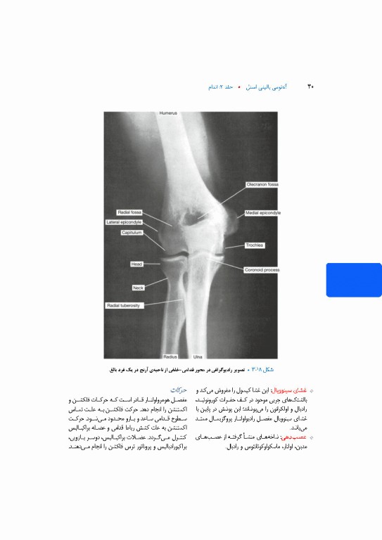 آناتومی بالینی اسنل 2025 جلد دوم اندام