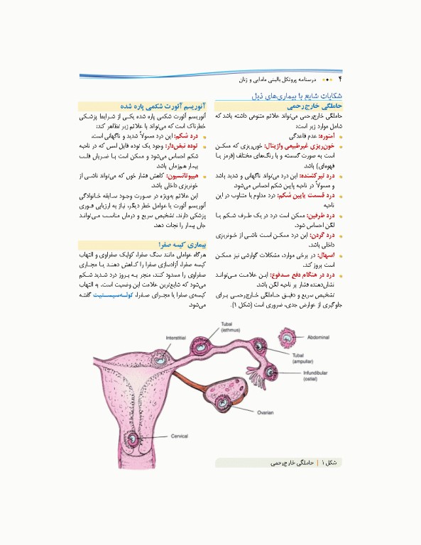 درسنامه پروتکل بالینی مامایی و زنان
