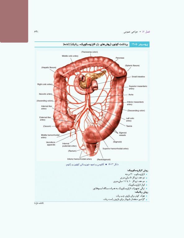 تکنولوژی جراحی برای تکنولوژیست جراحی 2024 جلد دوم اعمال جراحی