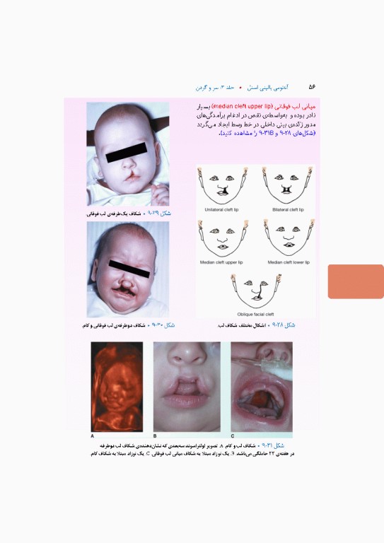 آناتومی بالینی اسنل 2025 جلد سوم سروگردن