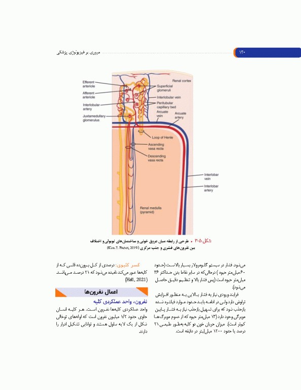 مروری بر فیزیولوژی پزشکی