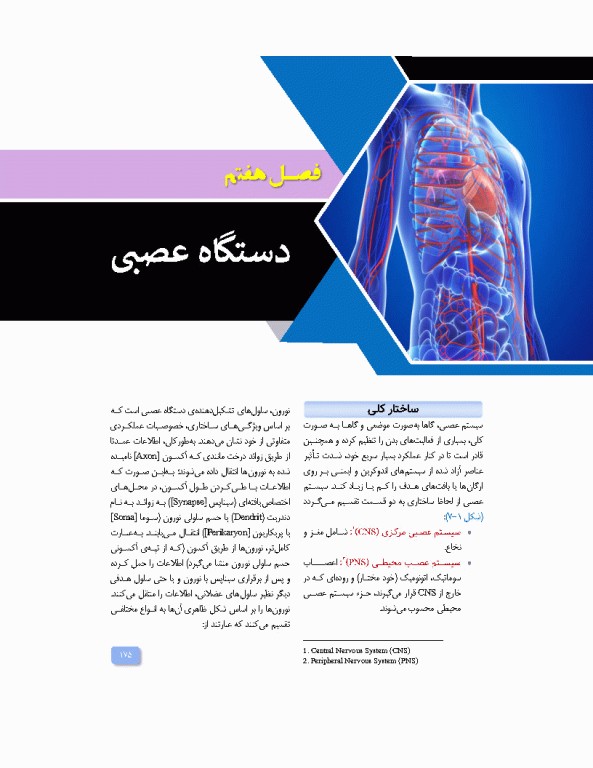 آناتومی برای فوریت‌های پزشکی با رویکرد بالینی