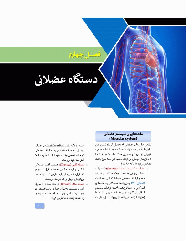 آناتومی برای فوریت‌های پزشکی با رویکرد بالینی