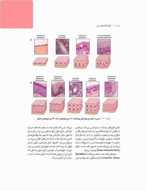 آناتومی برای فوریت‌های پزشکی با رویکرد بالینی