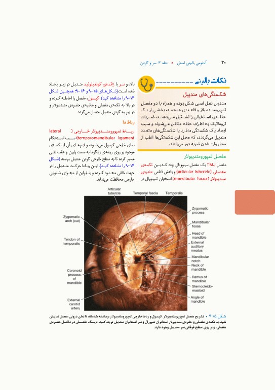 آناتومی بالینی اسنل 2025 جلد سوم سروگردن