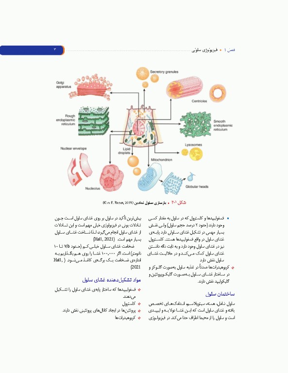 مروری بر فیزیولوژی پزشکی