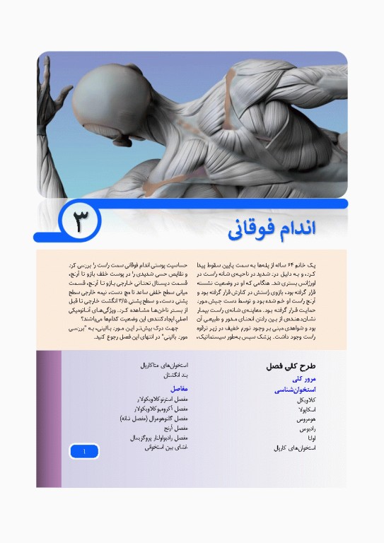 آناتومی بالینی اسنل 2025 جلد دوم اندام