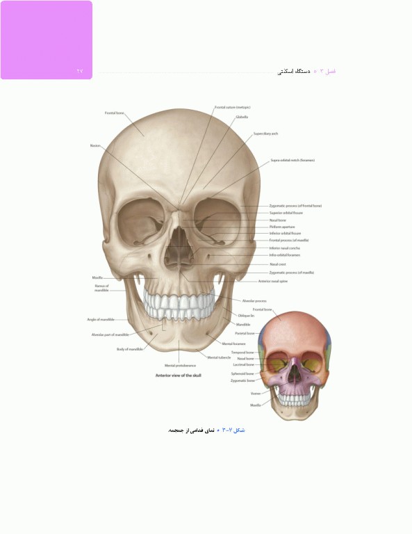 آناتومی برای فوریت‌های پزشکی با رویکرد بالینی