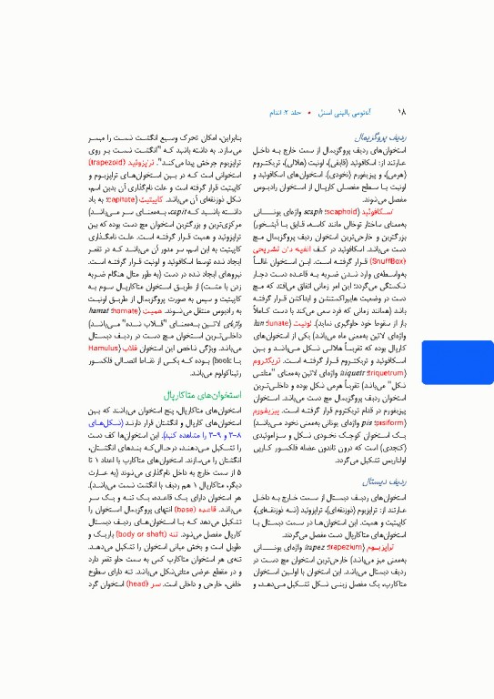 آناتومی بالینی اسنل 2025 جلد دوم اندام