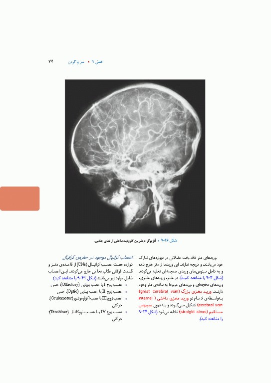 آناتومی بالینی اسنل 2025 جلد سوم سروگردن