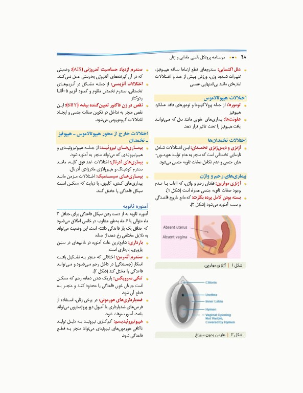 درسنامه پروتکل بالینی مامایی و زنان