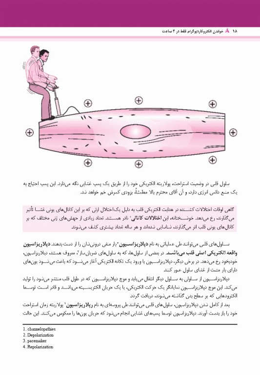 خواندن الکتروکاردیوگرام فقط در 2 ساعت 2023