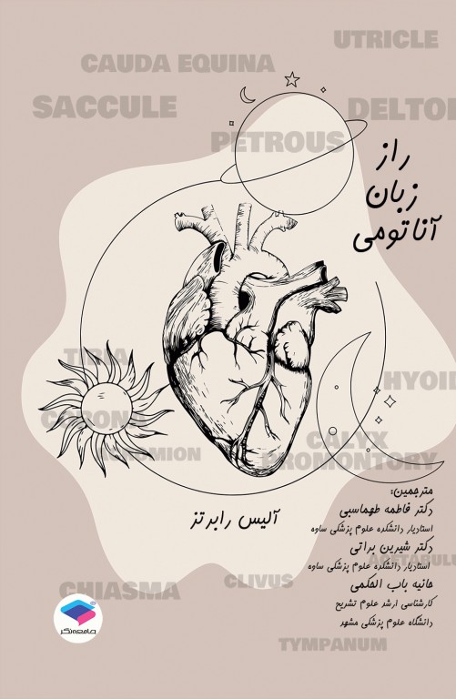 راز زبان آناتومی