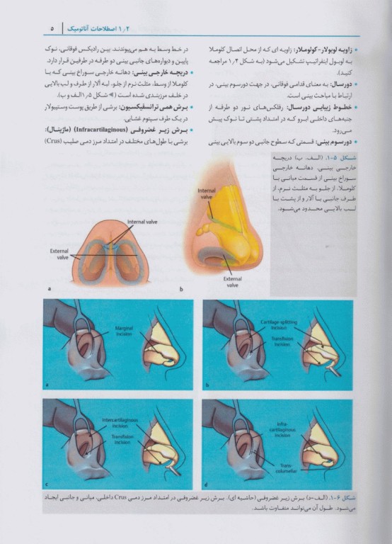 رینوپلاستی دالاس جراحی بینی همراه با اساتید