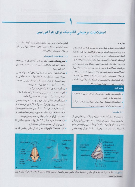 رینوپلاستی دالاس جراحی بینی همراه با اساتید