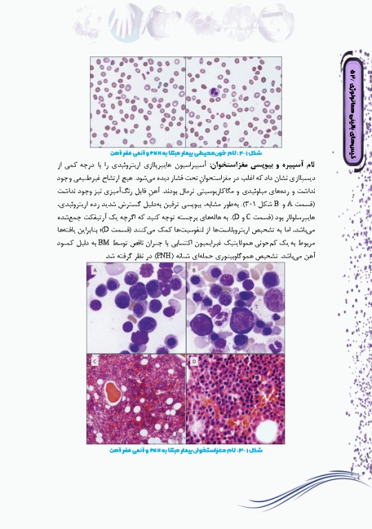 کیس‌های بالینی هماتولوژی و ایمونوهماتولوژی از تشخیص آزمایشگاهی تا رویکرد به درمان بیماری