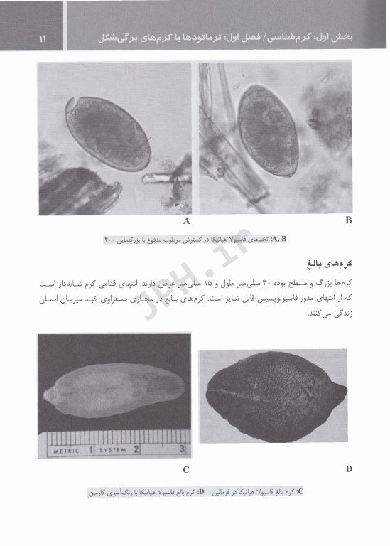 انگل‌شناسی برای پیراپزشکان چاپ دوم