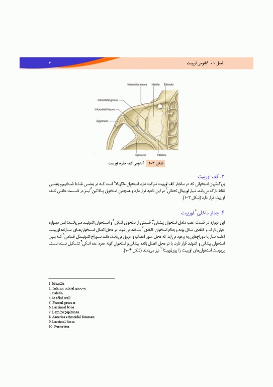 تصویربرداری پزشکی صورت و چشم