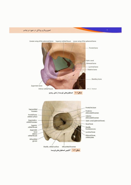 تصویربرداری پزشکی صورت و چشم