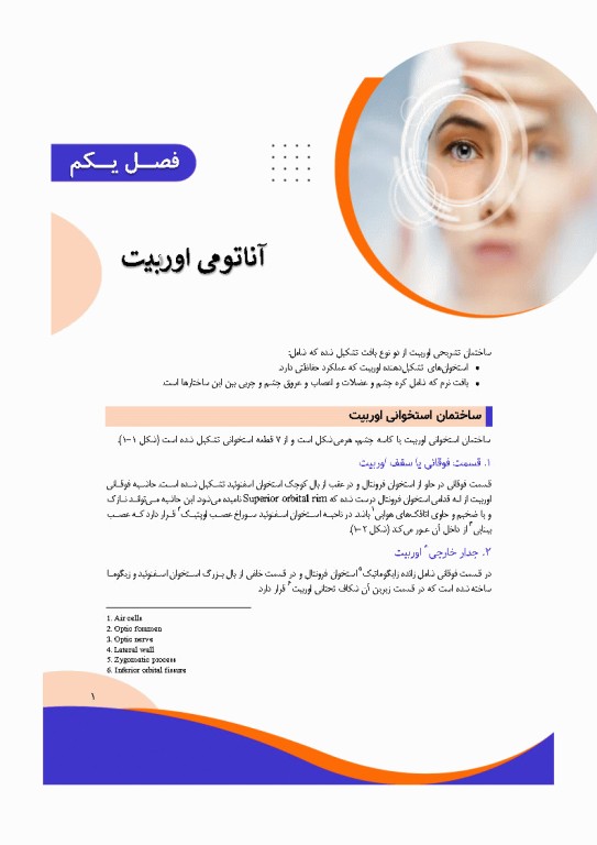 تصویربرداری پزشکی صورت و چشم