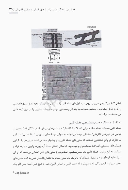 فیزیولوژی قلب، خون و گردش خون
