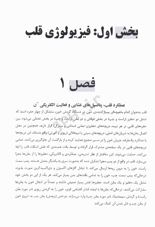 فیزیولوژی قلب، خون و گردش خون