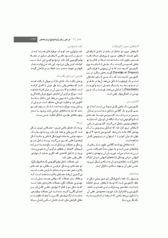 تکنیک اتاق عمل بری و کهن 2025 جلد2 اعمال جراحی