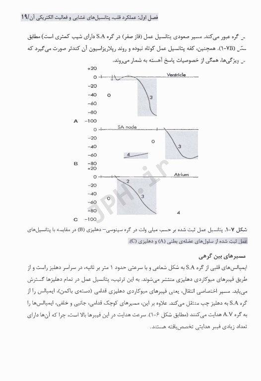 فیزیولوژی قلب، خون و گردش خون