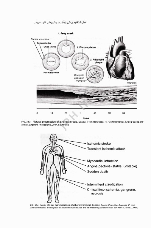کتاب مرجع کامل تغذیه و رژیم درمانی کراوس 2023 جلد سوم