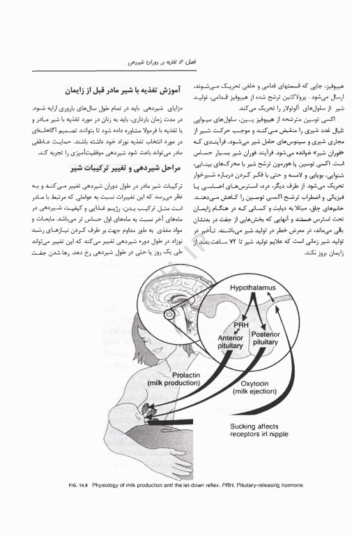 کتاب مرجع کامل تغذیه و رژیم درمانی کراوس 2023 جلد اول