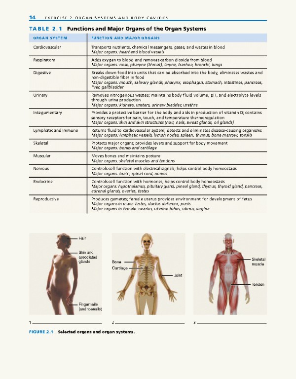 راهنمای آزمایشگاهی آناتومی و فیزیولوژی | LABORATORY MANUAL FOR ANATOMY AND PHYSIOLOGY 6th Edition