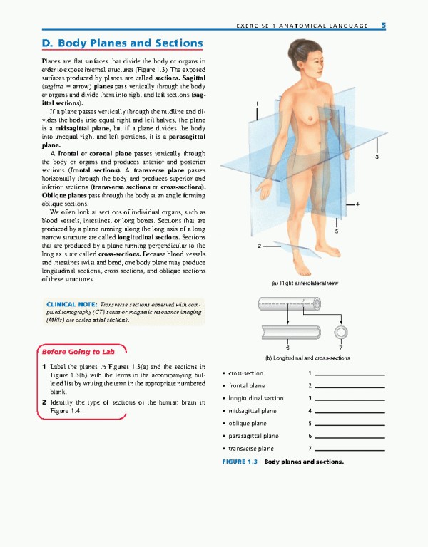 راهنمای آزمایشگاهی آناتومی و فیزیولوژی | LABORATORY MANUAL FOR ANATOMY AND PHYSIOLOGY 6th Edition