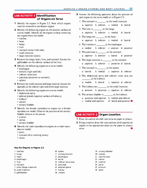 راهنمای آزمایشگاهی آناتومی و فیزیولوژی | LABORATORY MANUAL FOR ANATOMY AND PHYSIOLOGY 6th Edition