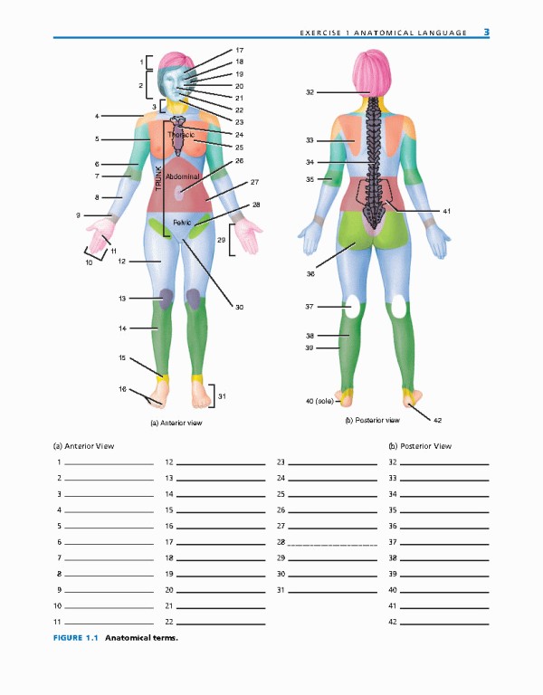 راهنمای آزمایشگاهی آناتومی و فیزیولوژی | LABORATORY MANUAL FOR ANATOMY AND PHYSIOLOGY 6th Edition