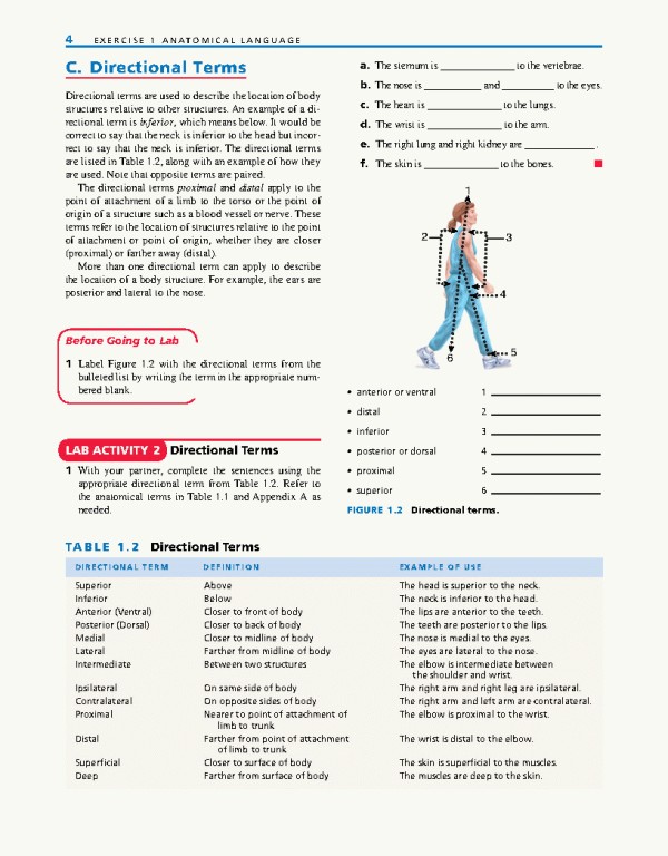 راهنمای آزمایشگاهی آناتومی و فیزیولوژی | LABORATORY MANUAL FOR ANATOMY AND PHYSIOLOGY 6th Edition