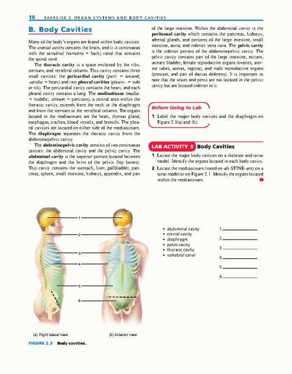راهنمای آزمایشگاهی آناتومی و فیزیولوژی | LABORATORY MANUAL FOR ANATOMY AND PHYSIOLOGY 6th Edition