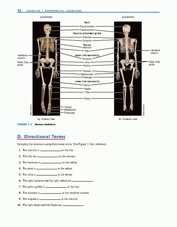 راهنمای آزمایشگاهی آناتومی و فیزیولوژی | LABORATORY MANUAL FOR ANATOMY AND PHYSIOLOGY 6th Edition