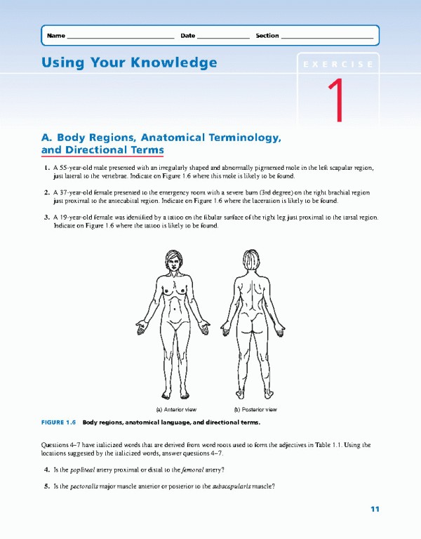 راهنمای آزمایشگاهی آناتومی و فیزیولوژی | LABORATORY MANUAL FOR ANATOMY AND PHYSIOLOGY 6th Edition