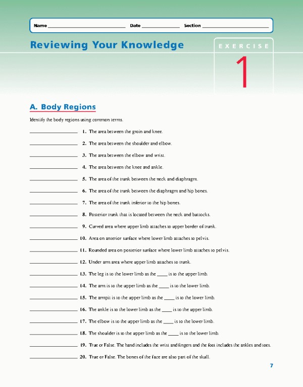 راهنمای آزمایشگاهی آناتومی و فیزیولوژی | LABORATORY MANUAL FOR ANATOMY AND PHYSIOLOGY 6th Edition