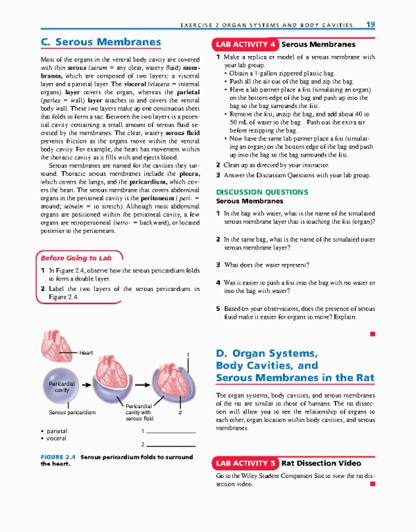 راهنمای آزمایشگاهی آناتومی و فیزیولوژی | LABORATORY MANUAL FOR ANATOMY AND PHYSIOLOGY 6th Edition