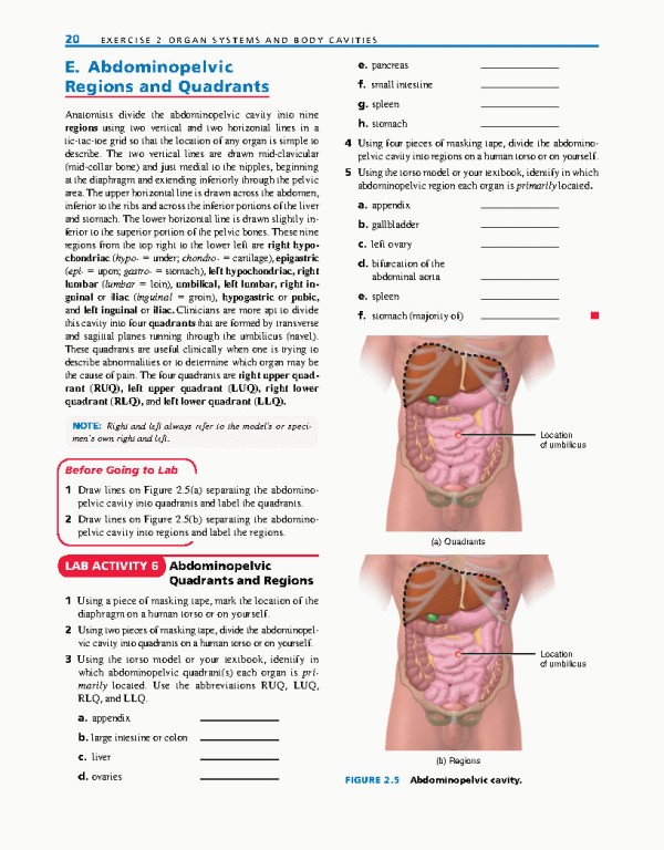 راهنمای آزمایشگاهی آناتومی و فیزیولوژی | LABORATORY MANUAL FOR ANATOMY AND PHYSIOLOGY 6th Edition