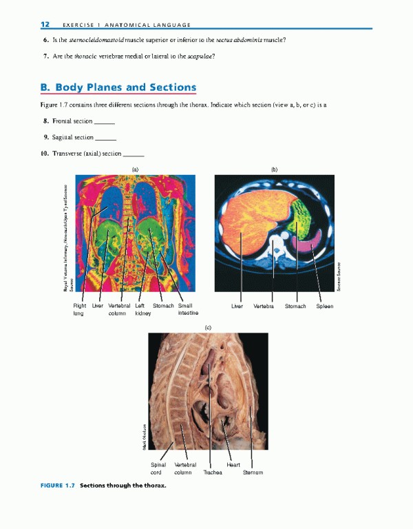 راهنمای آزمایشگاهی آناتومی و فیزیولوژی | LABORATORY MANUAL FOR ANATOMY AND PHYSIOLOGY 6th Edition