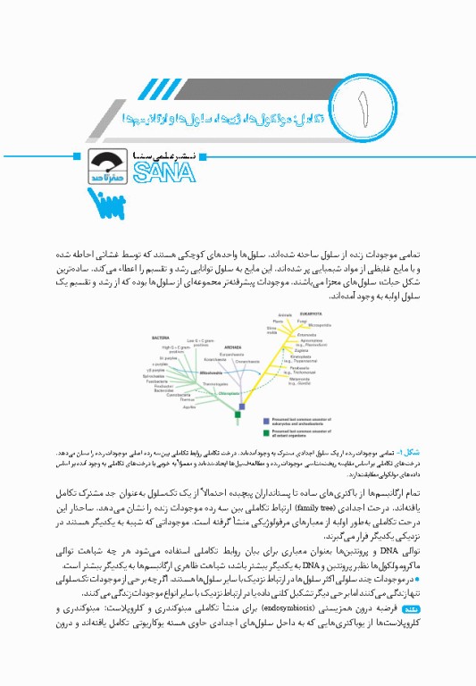 صفر تا صد زیست‌شناسی سلولی و مولکولی لودیش 2021