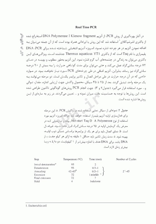 Real Time PCR (واکنش زنجیره‌ای پلیمراز PCR)