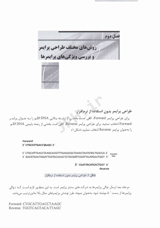 آموزش گام به گام طراحی پرایمر